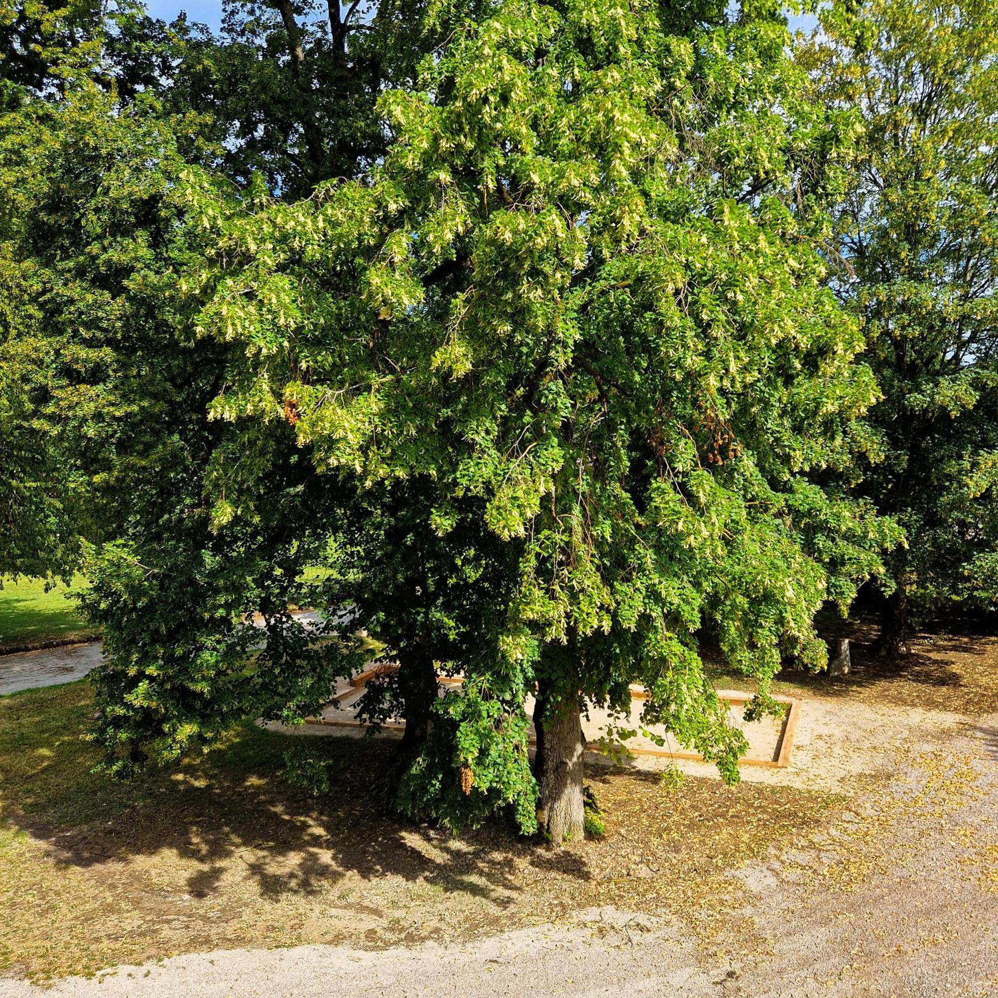 La Souveraine Contrexéville Exterior foto